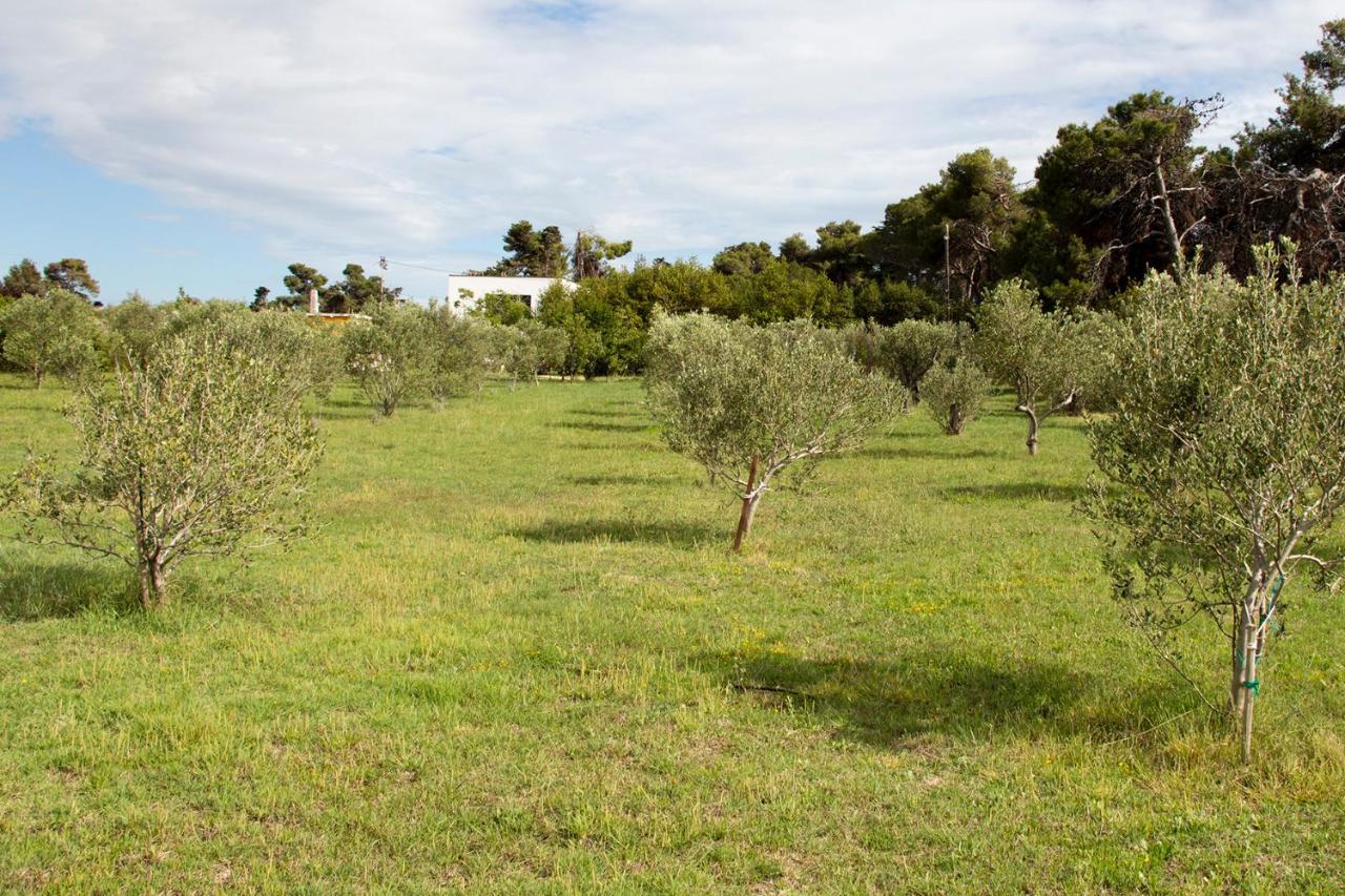 Villa Rosemary Park Zadar Luaran gambar