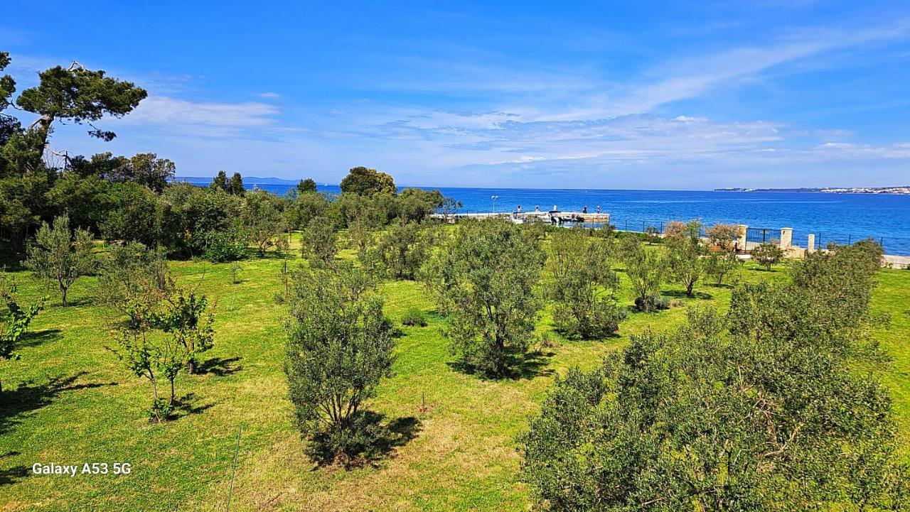 Villa Rosemary Park Zadar Luaran gambar